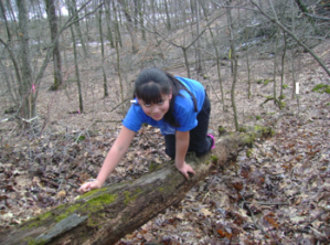 A girl crossing a creek by crawling on a big log stretching from one bank to the other